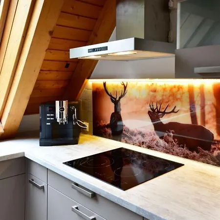 Black Forest Bollenhut Deluxe By Interhome Apartment *
